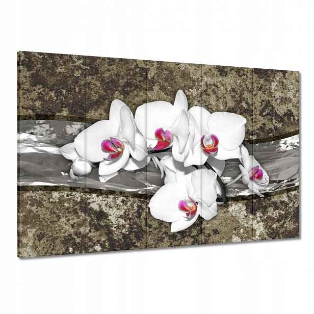 Obrazy 100x70 Bílá Orchidej Mramorové pozadí