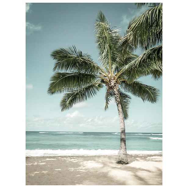 Vliesová fototapeta Palmy Pláž Oceán Bílý Písek Relax 184x254 lepidlo