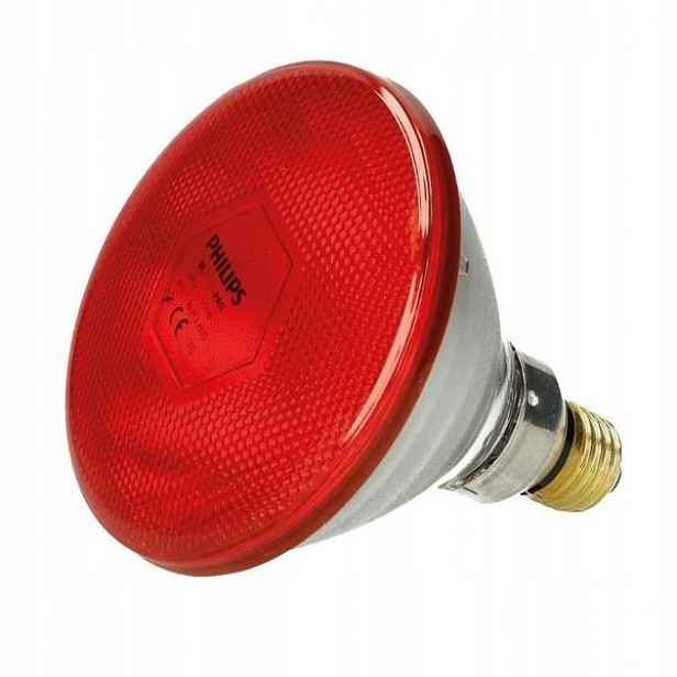 Philips lampa PAR38 Ir 100W E27 240V červená 923801145506