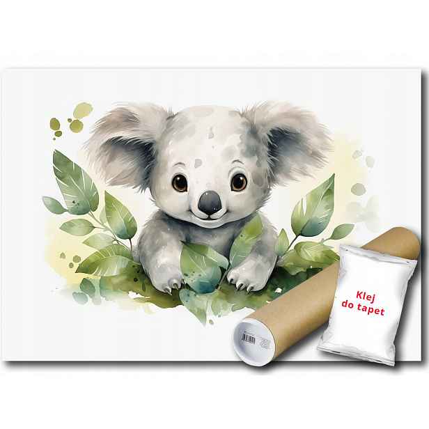 Vinylová fototapeta Koala Zvířata Austrálie Listy Akvarel 254x184
