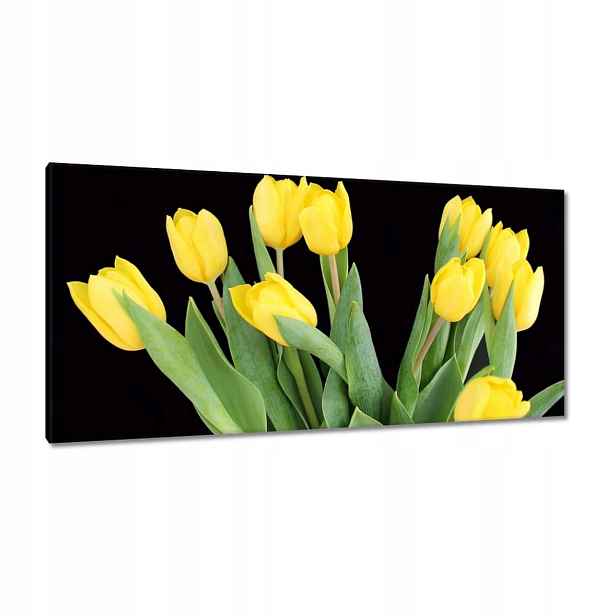 Obrazy 115x55 Žluté tulipány