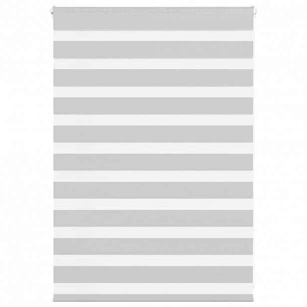 vidaXL Zebra roleta světle šedá 95x100cm šířka látky 90,9 cm polyester