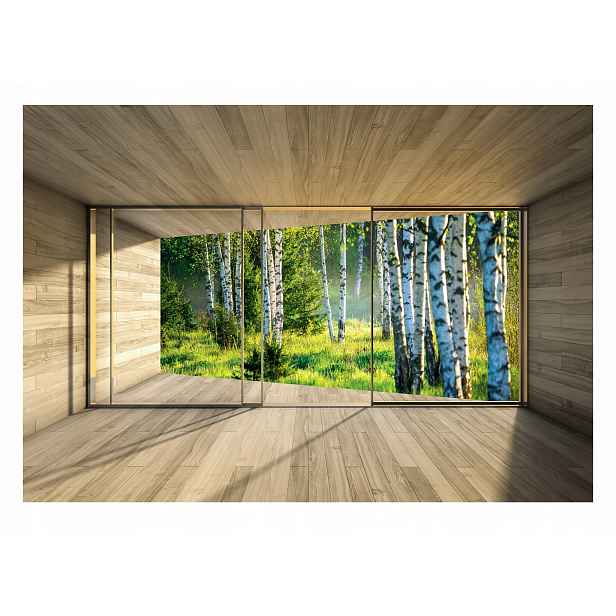 Fototapeta 3D Okno S Pohledem Břízový les 208x146