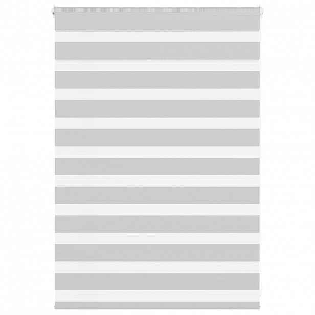 vidaXL Zebra roleta světle šedá 100x100cm šířka látky 95,9cm polyester