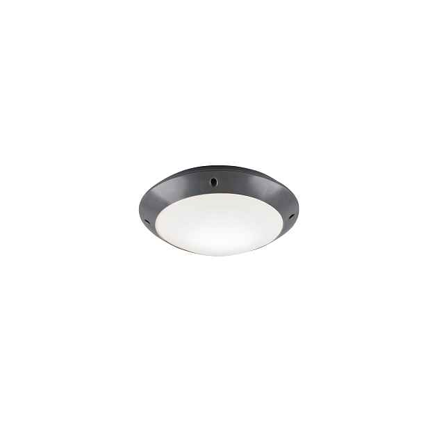 Fasádní lampa Camaro antracit E27 12W IP54 vnější stropní svítidlo Rl