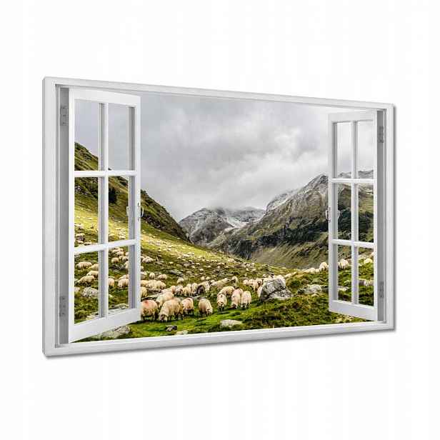 Obrazy 120x80 Vypasování ovcí Ovečky Ovce