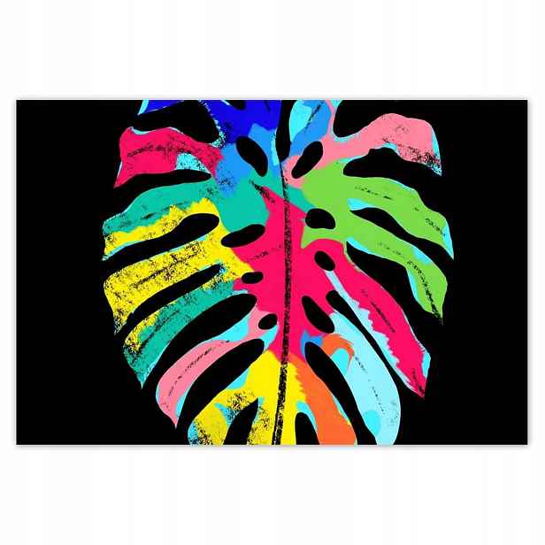 Plakáty 200x135 Barevná Monstera List