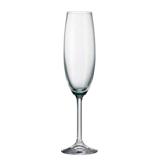 PROHOME - Flétna Colibri 6ks 220 ml