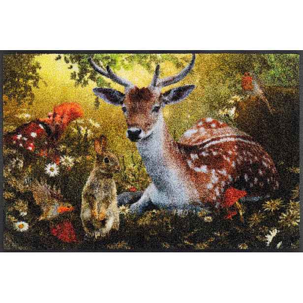 Vstupní rohožka|Wash+Dry|Forest Whisper 50x75 cm