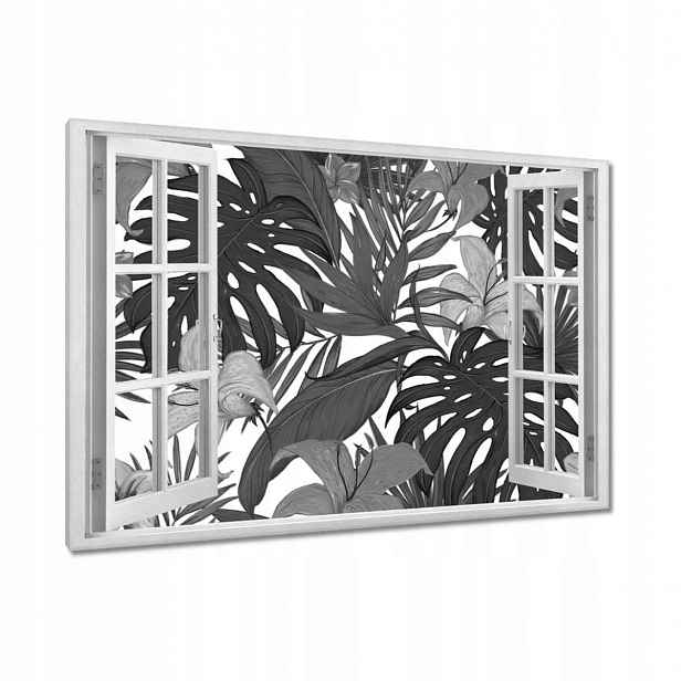Obrazy 90x60 Černobílá monstera
