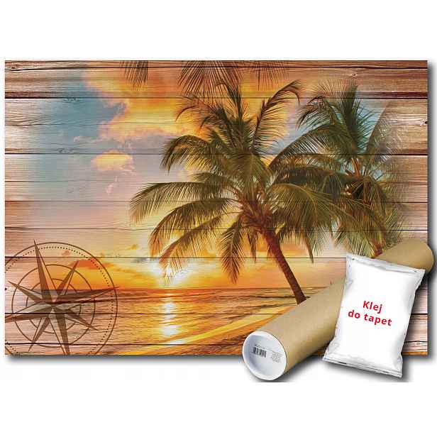 Fototapeta Boazeria Palmy 6C F4XL 416x290 F10027