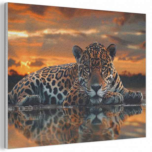 MuchoWow AKUSTICKÝ obraz Příroda - Leopard - Zvíře - Západ slunce - Moderní 80x60 cm
