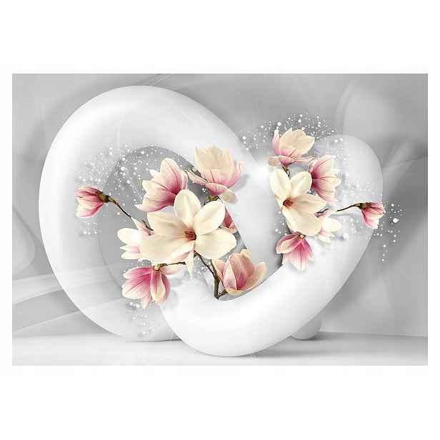 Fototapeta flizelina Abstrakce Magnolie Květiny na šedém pozadí 250x175 lepidlo