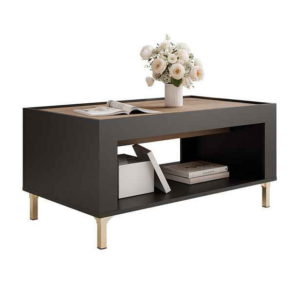Idohome KONFERENČNÍ STOLEK AVENA 97/56/47 cm obdélníkový, černý / dub