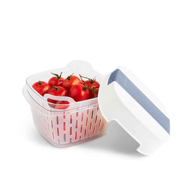 Rotho Speciální box na ovoce a zeleninu, s ventilací a filtrem, do lednice, Fridge Fresh,1,6l modrý