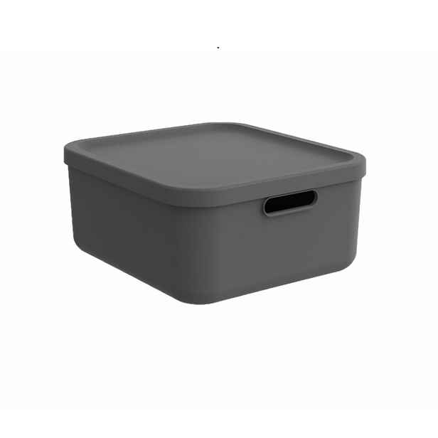 Rotho Úložný box, rovný s víkem, 20l, antracit ALBU LIGHT, 40x36x18