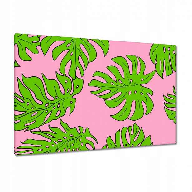 Obrazy 120x80 Monstera Zelená Růže