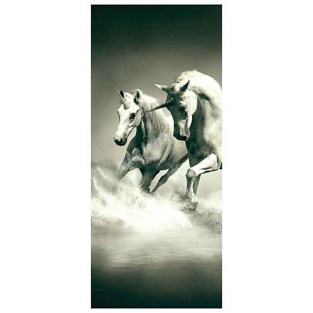 Samolepka Fototapeta Koně Jednorožci Galop Svoboda Fantazie 91x211
