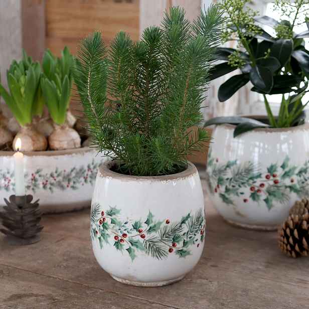 Béžový keramický květináč s cesmínou Holly Christmas Antique – Ø 15*14,5 cm Chic Antique