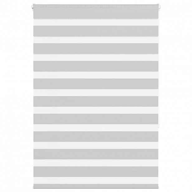 vidaXL Zebra roleta světle šedá 100x150cm šířka látky 95,9cm polyester