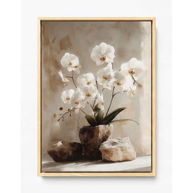 Obraz Rám Americký Box Dekorace Květiny Bílý Orchidej Zen 60x80