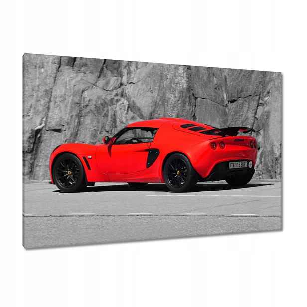 Obrazy 120x80 Červený Lotus