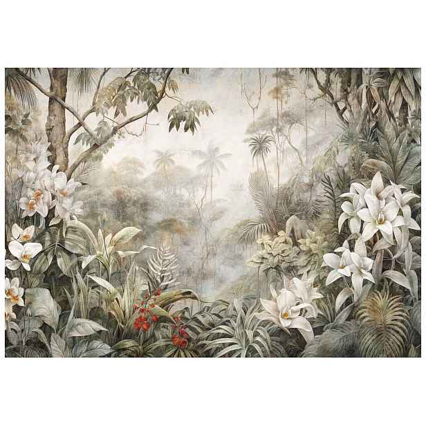 Fototapeta Orchideje a tropy bílé červené květy lesa 300x210 lepidlo