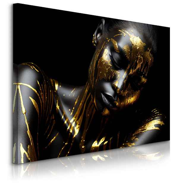 Muralo OBRAZ NA PLÁTNĚ Abstraktní Portrét Ženy Glamour Styl 40cm x 30cm