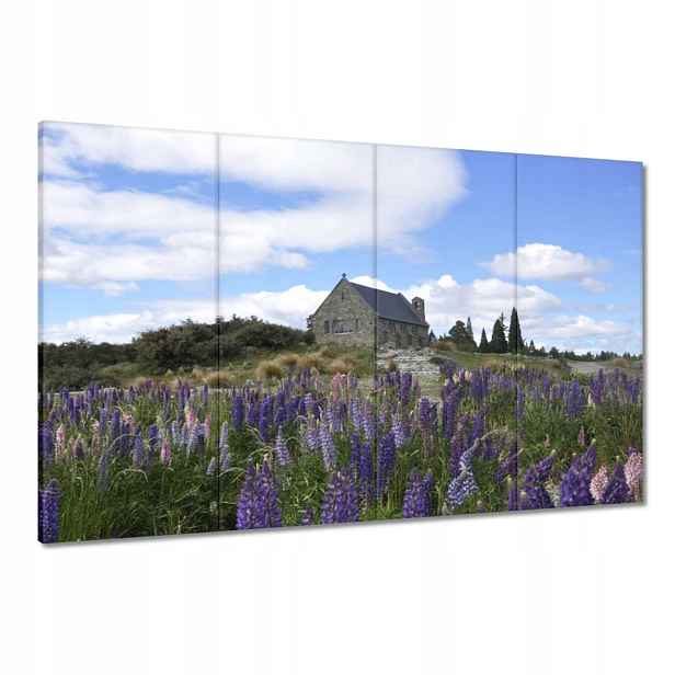 Obrazy 120x80 Fialové květy Kopec
