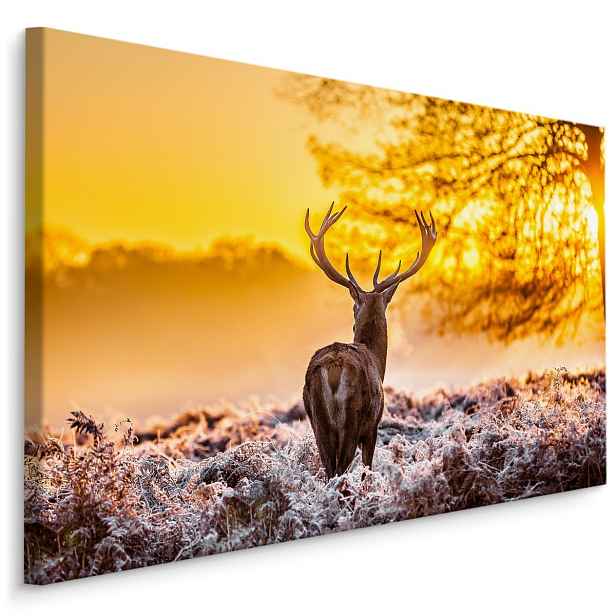 MyBestHome BOX Plátno Jelen Při Východu Slunce Varianta: 30x20