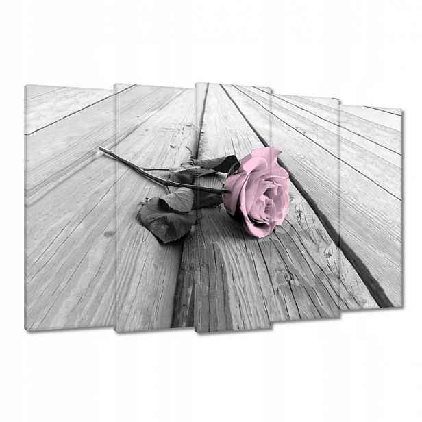Obrazy 150x95 Pudrová růžová Old pink Rose