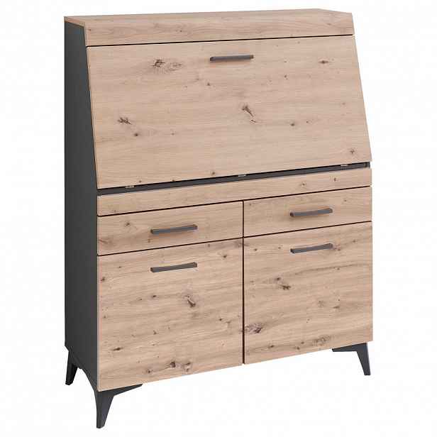 Carryhome SEKRETÁŘ, 98/124/42 cm