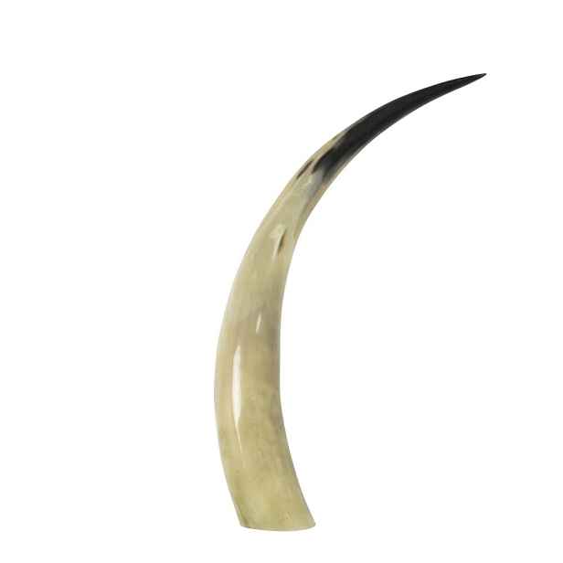 Dekorativní roh Bizon - 45cm Mars & More