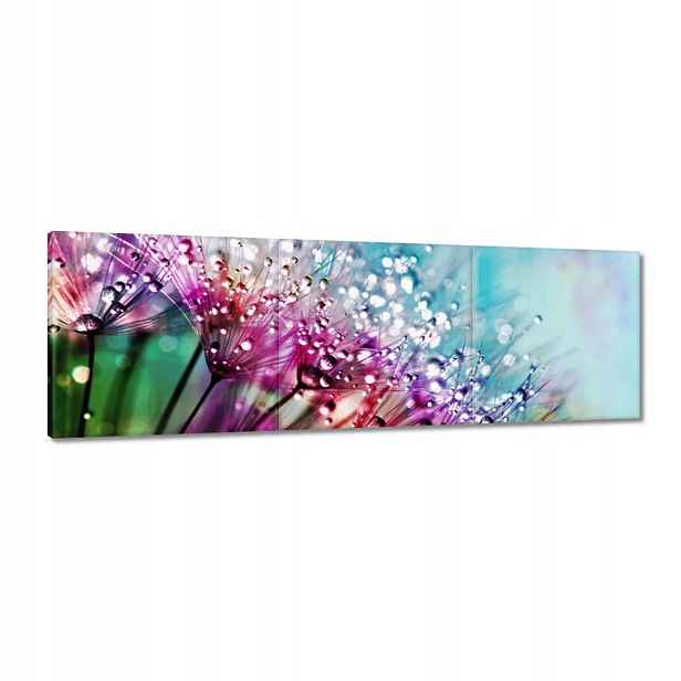 Obrazy 120x40 Kapky rosy Pampeliška