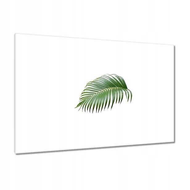 Obrazy 120x80 Zelený list Minimalismus