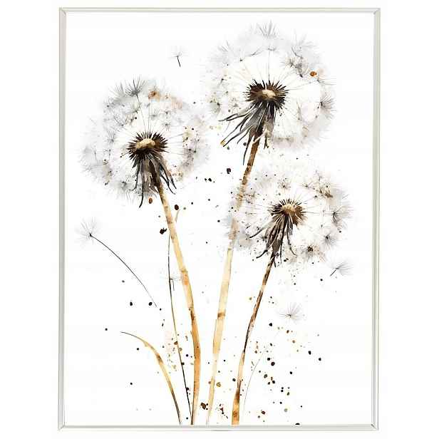 Plakát Rámeček Hliníkový Grafika Příroda Květy Pampelišky Chmýří Boho 60x80