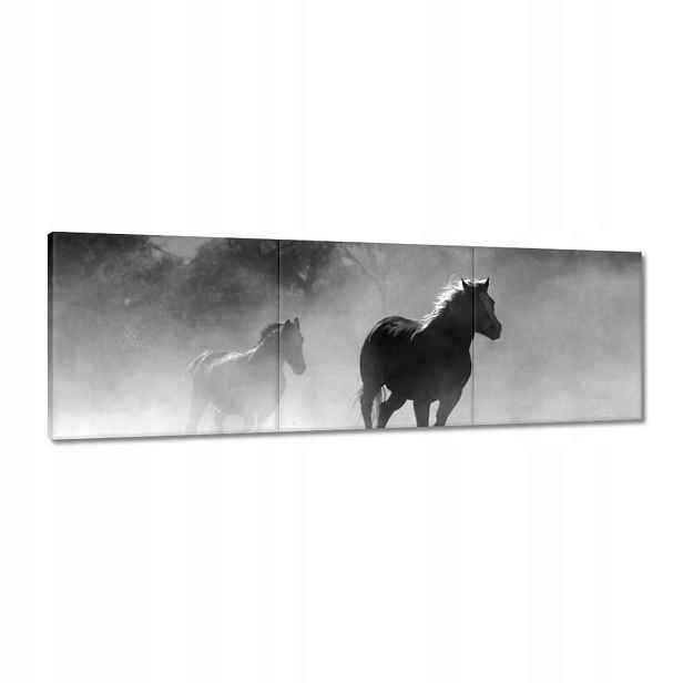 Obrazy 120x40 Cválající koně