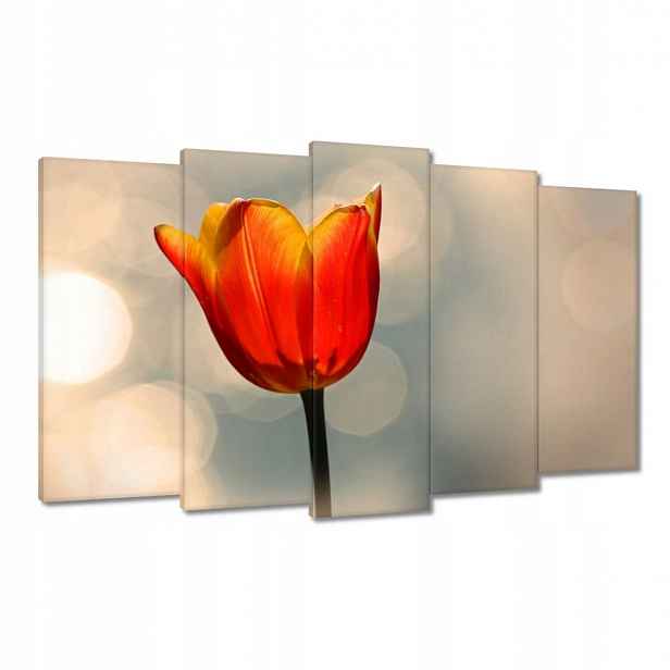 Obrazy 100x60 Oranžový tulipán