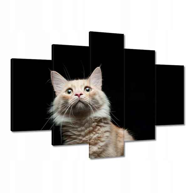 Obrazy 150x105 Rudé kotě na stoličce