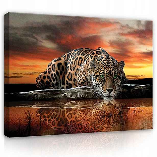Obraz Na Plátně Stěna Jaguar Safari Ložnice Obývací Pokoj Velký XXL 120x80