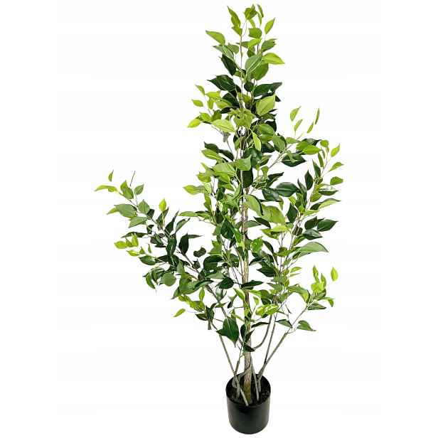 Umělý Fíkus V Černém Obalu, Dekorace, Kvalita 130 CM