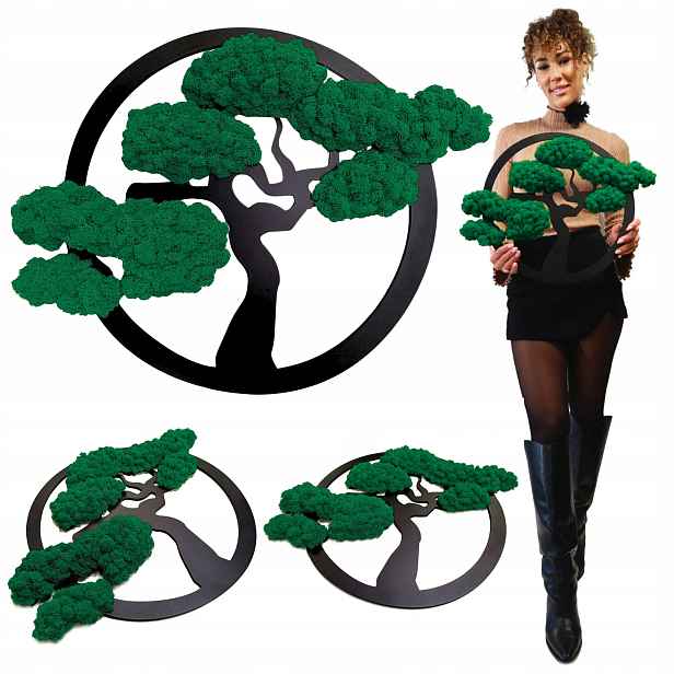 Obraz Mech Chrobotek Stromek Bonsai Obraz Z Mechu Stromek Jako Dárek 53 cm