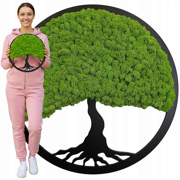 Obraz Z Mechu mech chrobotek Živý Stromek Bonsai na zeď Ozdoba Dekorace