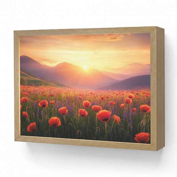 OnlyWow NÁSTĚNNÁ LAMPA S AKUMULÁTOREM Krajina - Západ slunce - Květinové pole 40x30 cm