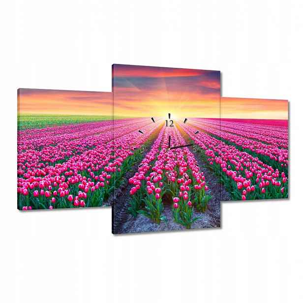 Hodiny 100x60 Moře tulipánů Květiny