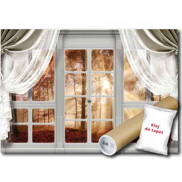 Fototapeta Pohled Na Les 18C F2XL 312x219 F10622