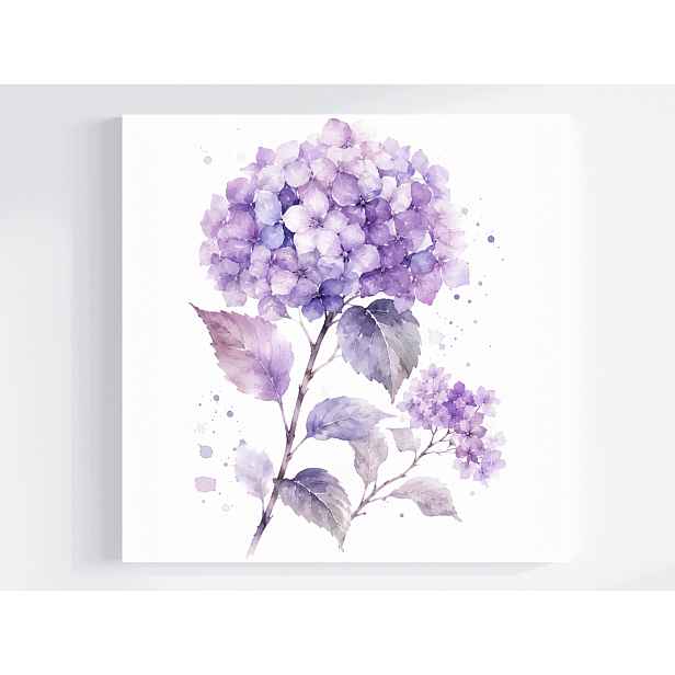 Obraz Na Plátně Canvas Zahrada Květiny Fialová Hortenzie Akvarel 60x60