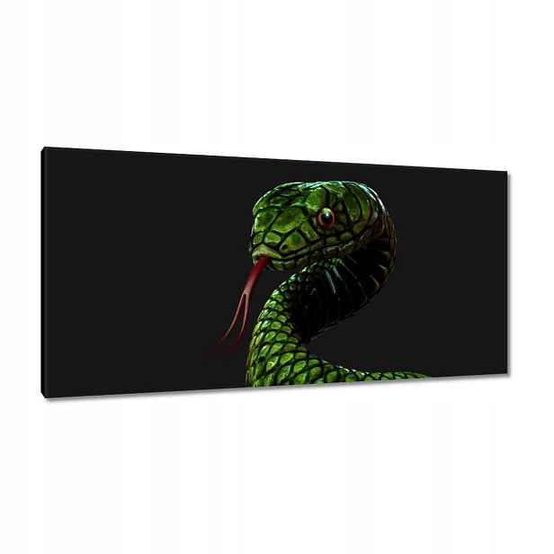 Obrazy 115x55 Obrovský zelený had