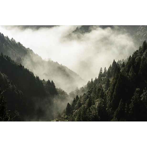 Maskovačka Kryt Ozdoba na radiátor Magnetická podložka Les 60x100