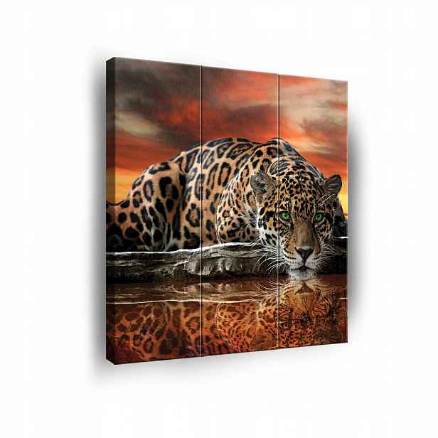 Obraz Tygr Safari Na Plátně Stěna 3 Díly Triptych Ložnice 90x100